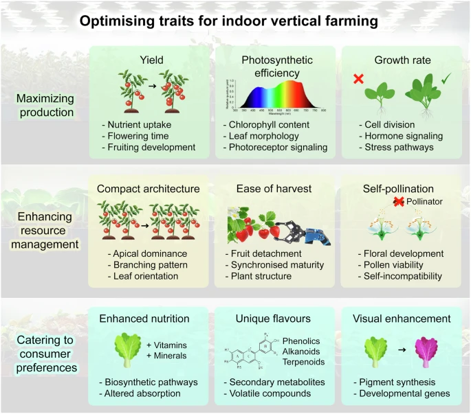 Optimising traits for various crops in indoor vertical farms. Source: Teo & Yu, 2024