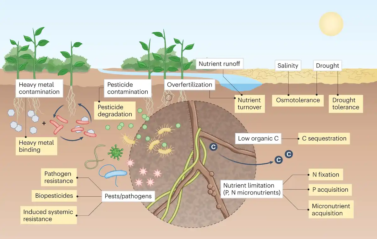 Soil microbiome-plant interactions. Source: Jansson et al., 2023. Image is publicly provided by Aspen Global Change Institute
