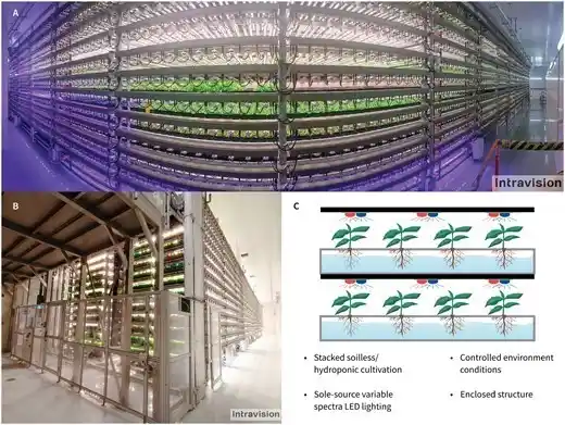 Controlled-environment plant production systems, also called vertical farms or plant factories