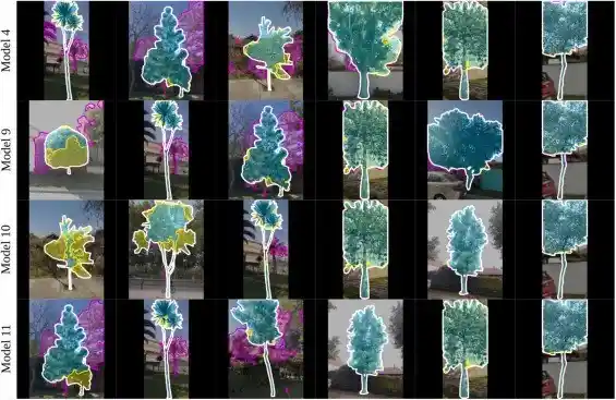 Tree segmentation qualitative results for models, which are trained using the Arbocensus tree segmentation dataset.