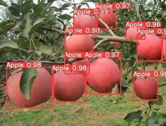 Comparison of the recognition of overlapping apples using NMS and Soft-NMS algorithm