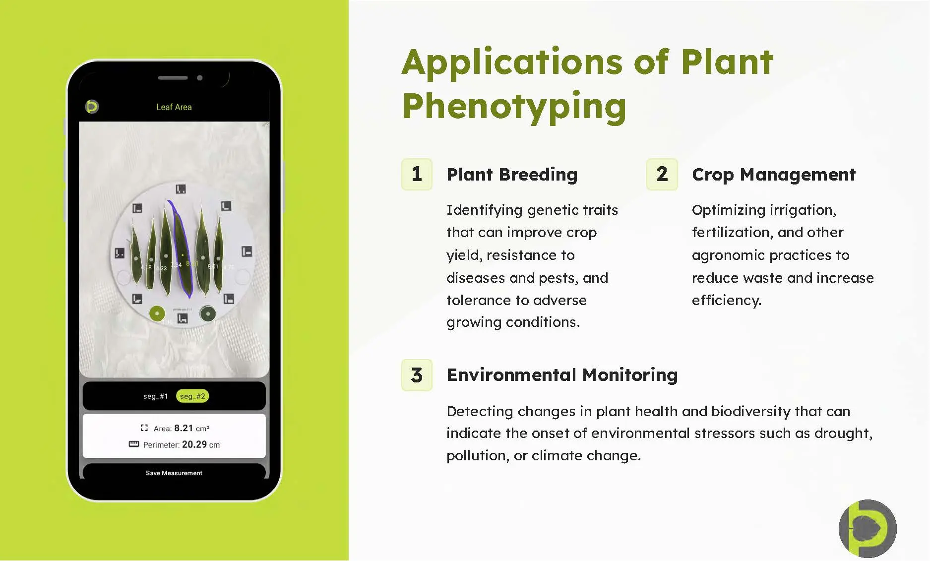 For key crops like rice, leaf area is essential for maximizing yields and keeping plants healthy 