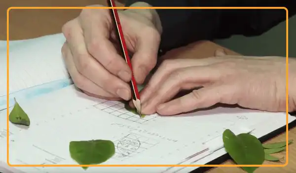 Leaf Area Measurement is a hard task for researchers with hundreds or thousands leaves to calculate leaf area