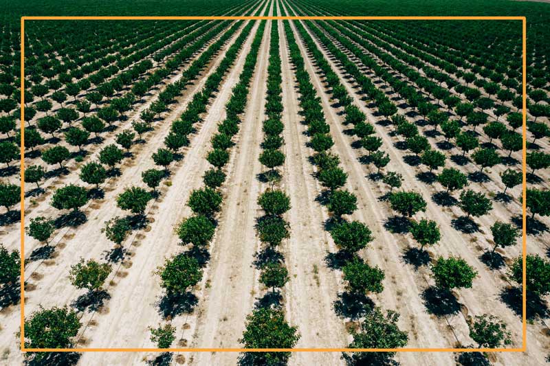 Aerial photography in agriculture provides information about the soil with valuable high precision